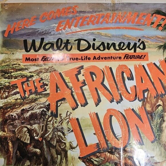 1955 The African Lion Original Walt Disney 28x22 Litho Movie Poster Very Rare US - Picture 11 of 12